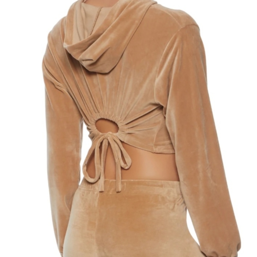 Velour Velvet Crop Open Back Hoodie